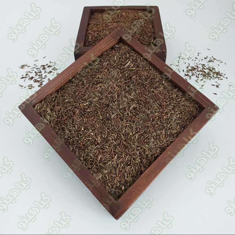 زیره سیاه درجه یک 100گرمی گیاهینو
