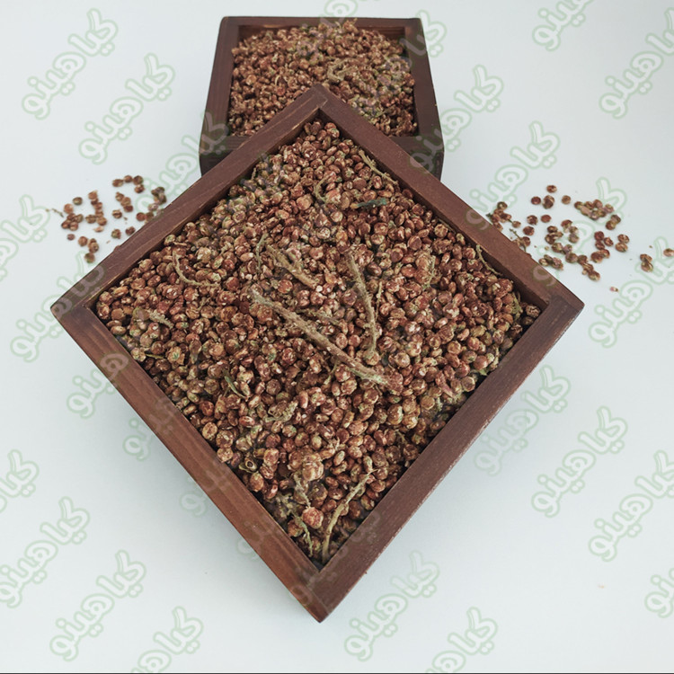 سماق دان100 گرمی گیاهینو - پرفروش ترین سماق دان 100گرمی باسلام
