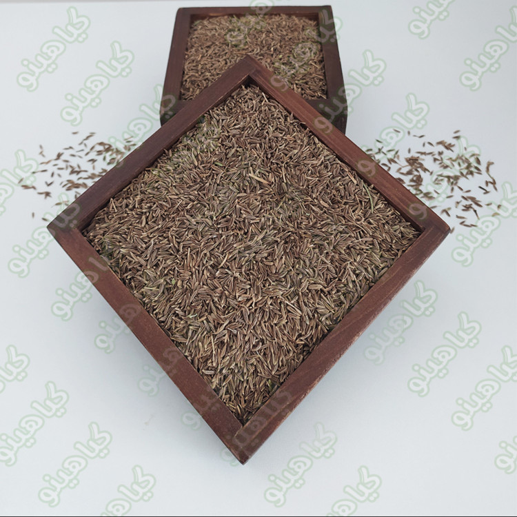 زیره سبز 100 گرمی گیاهینو