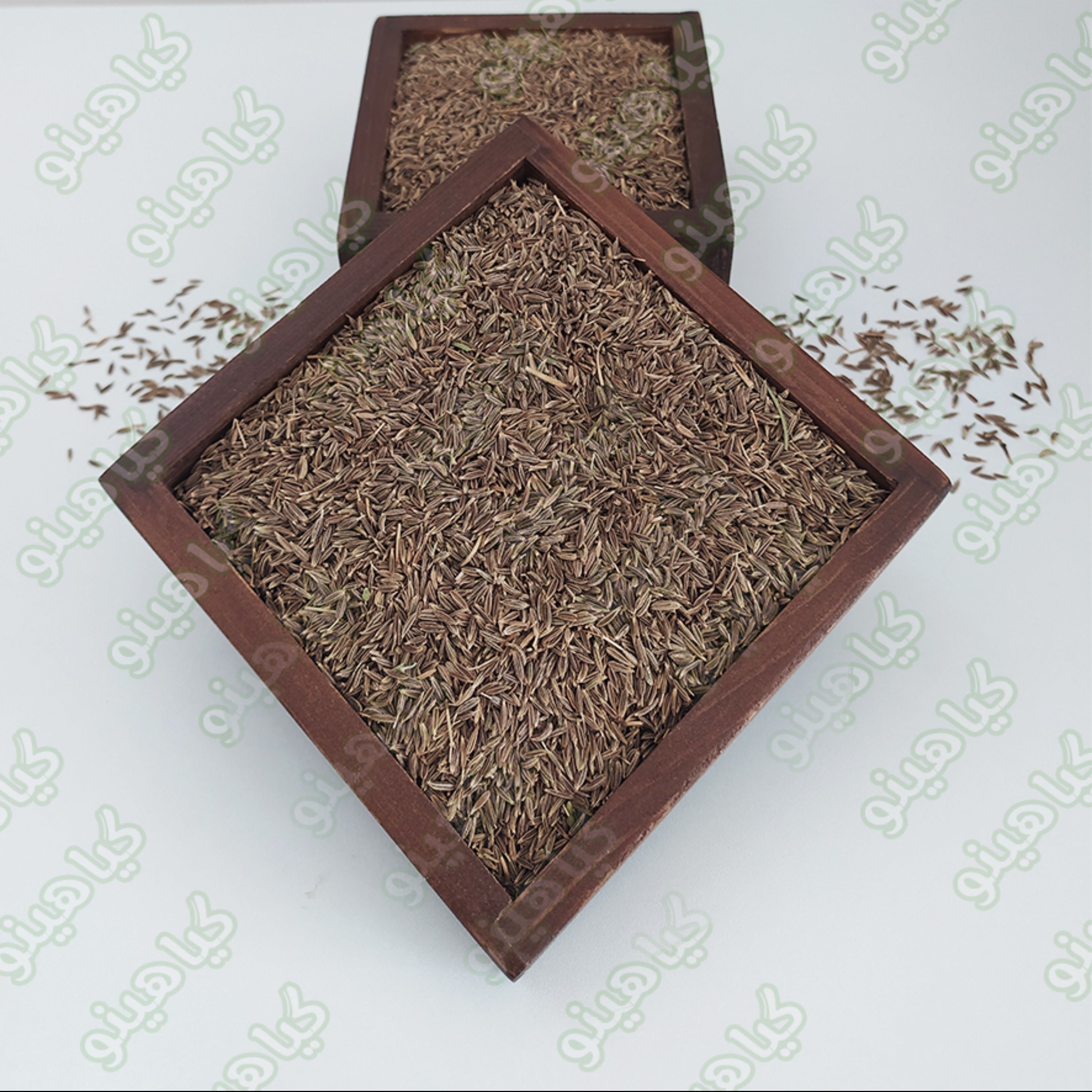 زیره سبز یک کیلویی گیاهینو