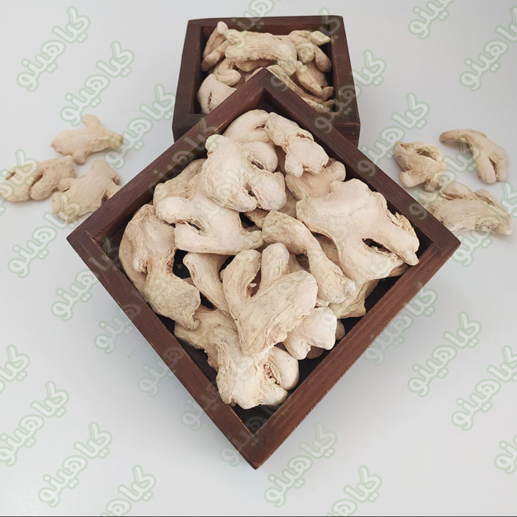 زنجبیل خشک قلم 100 گرمی گیاهینو
